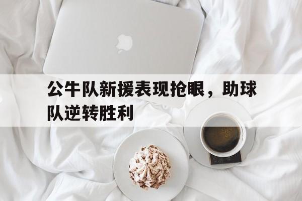公牛队新援表现抢眼，助球队逆转胜利